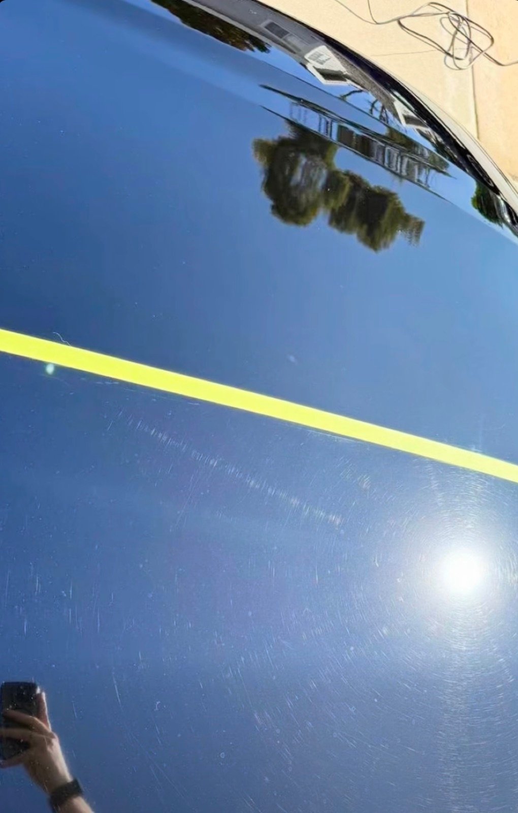 Paint correction on a dark blue hood — 50/50 comparison showing swirls removed